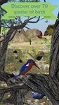 Картинка 6 My Aviary - Grow Your Idle Bird Paradise