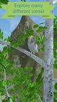 Картинка 4 My Aviary - Grow Your Idle Bird Paradise