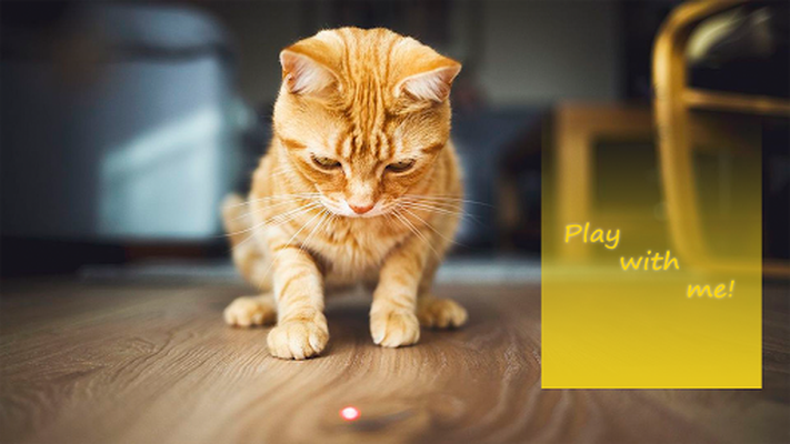 jogo Simulador de gato, cat simulator, joguinho do gato infantil pra  crianças, jogo do gato simulado 