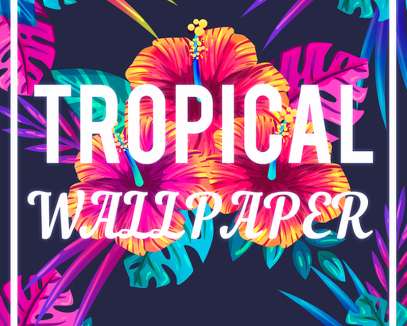 Tropical Wallpaper Apk Free Download App For Android