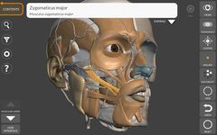 3D Anatomy for the Artist στιγμιότυπο apk 5