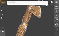 Скриншот 6 APK-версии 3D Анатомия для художников