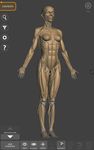 3D Anatomy for the Artist στιγμιότυπο apk 7