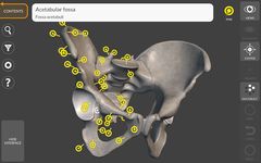 3D Anatomy for the Artist στιγμιότυπο apk 16