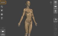 3D Anatomy for the Artist στιγμιότυπο apk 12