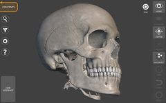 Скриншот 11 APK-версии 3D Анатомия для художников