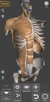 3D Anatomy for the Artist στιγμιότυπο apk 21