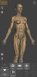 3D Anatomy for the Artist στιγμιότυπο apk 19