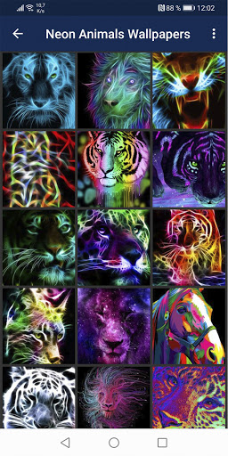 Neon Animals Wallpapers  Android - Tải
