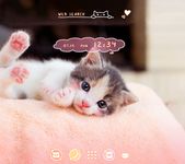 かわいい壁紙アイコン 子猫の視線 無料 のスクリーンショットapk 2