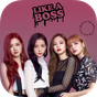 Black Pink Wallpaper - All Member apk icono