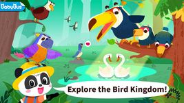 Royaume des oiseaux de Bébé Panda image 15