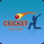 Cricket Live Line 2019 icon