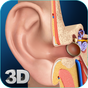 APK-иконка My Ear Anatomy