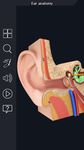 Картинка 10 My Ear Anatomy