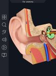 Картинка 4 My Ear Anatomy