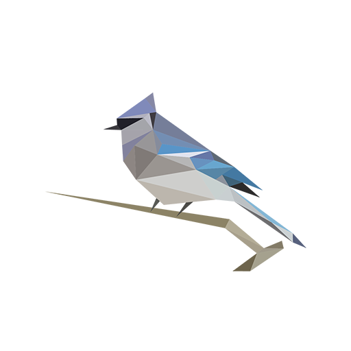 Free App For Bird Sound Identification