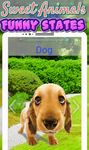 Captura de tela do apk Sons De Animais (3D) 3