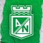 Nacional Oficial apk icono