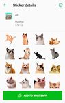 Imagine Best Cat Stickers for Chat WAStickerApps 3