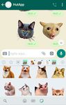 Imagine Best Cat Stickers for Chat WAStickerApps 