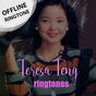 Teresa Tengのフォーエバーミュージックビデオ APK
