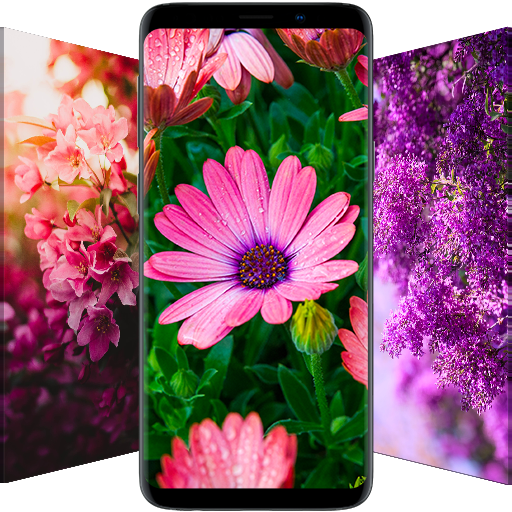 hd flower wallpapers for android