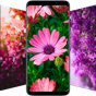 Иконка Flower Wallpapers - Colorful Flowers in HD & 4K