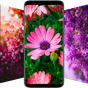 Icoană Flower Wallpapers - Colorful Flowers in HD & 4K