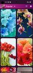 Скриншот 14 APK-версии Flower Wallpapers - Colorful Flowers in HD & 4K
