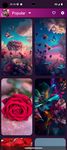 Скриншот 7 APK-версии Flower Wallpapers - Colorful Flowers in HD & 4K