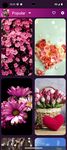 Скриншот 23 APK-версии Flower Wallpapers - Colorful Flowers in HD & 4K