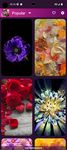 Скриншот 1 APK-версии Flower Wallpapers - Colorful Flowers in HD & 4K