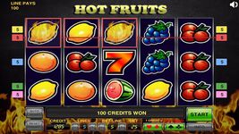 Hot Fruits zrzut z ekranu apk 6