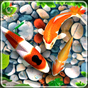 Fish Live Wallpaper Free - Aquarium Koi Bgs apk icon