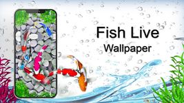 Fish Live Wallpaper Free - Aquarium Koi Bgs image 2