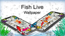Fish Live Wallpaper Free - Aquarium Koi Bgs image 3