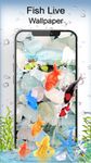 Fish Live Wallpaper Free - Aquarium Koi Bgs image 4