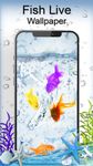 Fish Live Wallpaper Free - Aquarium Koi Bgs image 1