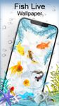 Fish Live Wallpaper Free - Aquarium Koi Bgs image 