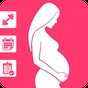 Pregnancy Exercise and workout at home APK