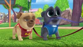 Imagen  de Puppy dog PaLs Fantasy