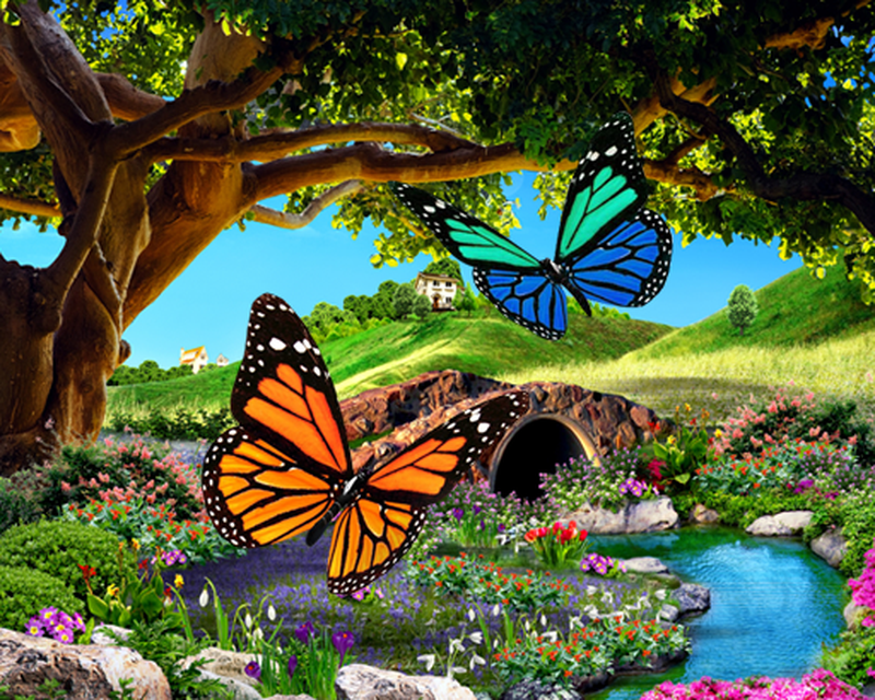 3d Wallpaper Download Butterfly Image Num 35