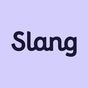 Slang: English for your career icon