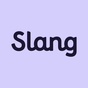 Slang: English for your career icon