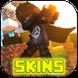 Capes Skins apk icon