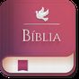 Concordância Bíblica e Dicionário Bíblia de Estudo