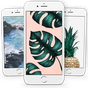 Tropical Wallpapers APK Icon