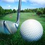 Icône de Golf Master 3D