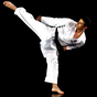 APK-иконка PocketPT - Shotokan Karate